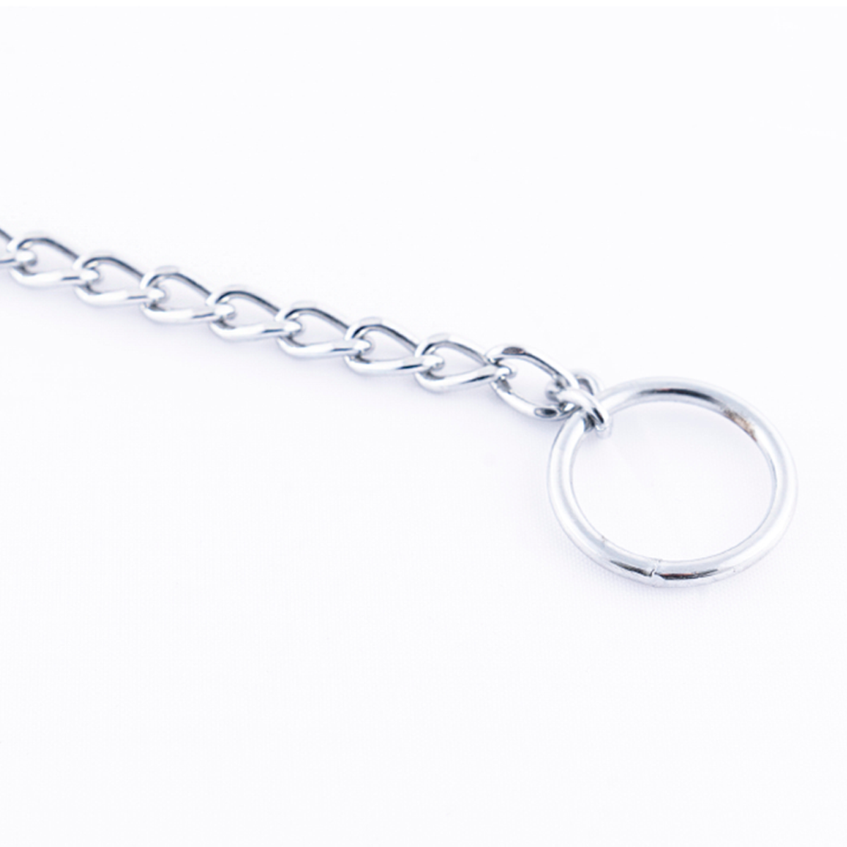 Collar de entrenamiento