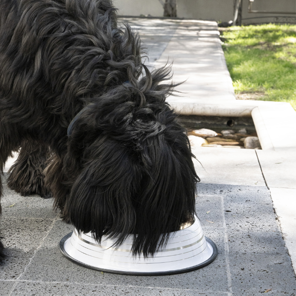 Tazón acero inoxidable de uso rudo con pintura epóxica