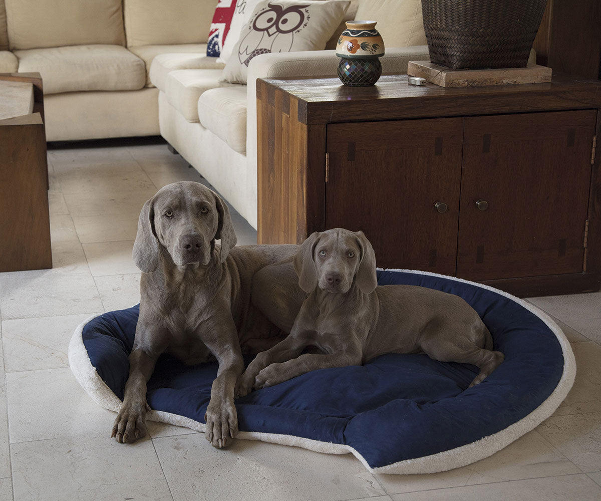 Cama para mascotas Rosa