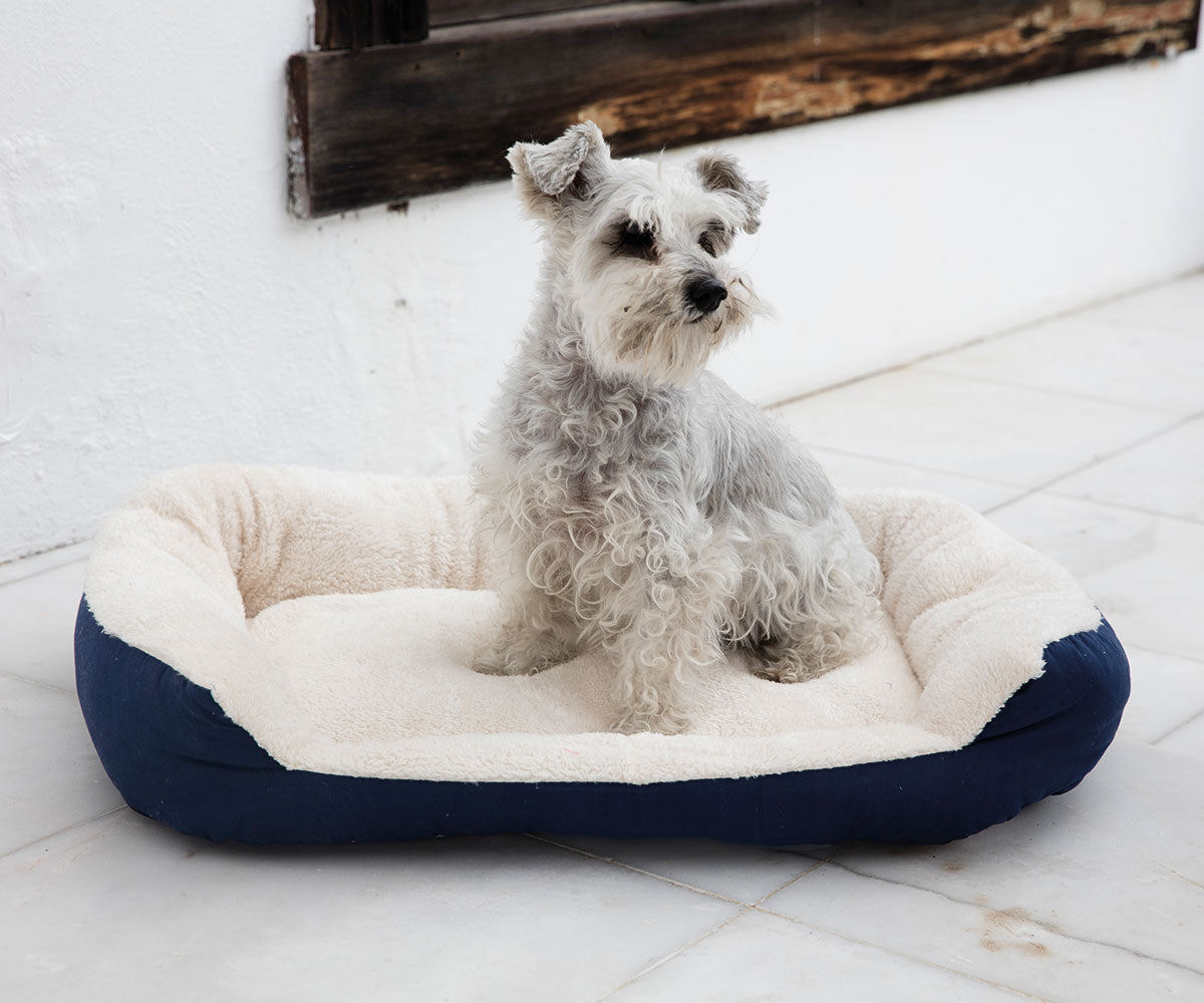 Cama para mascotas Azul