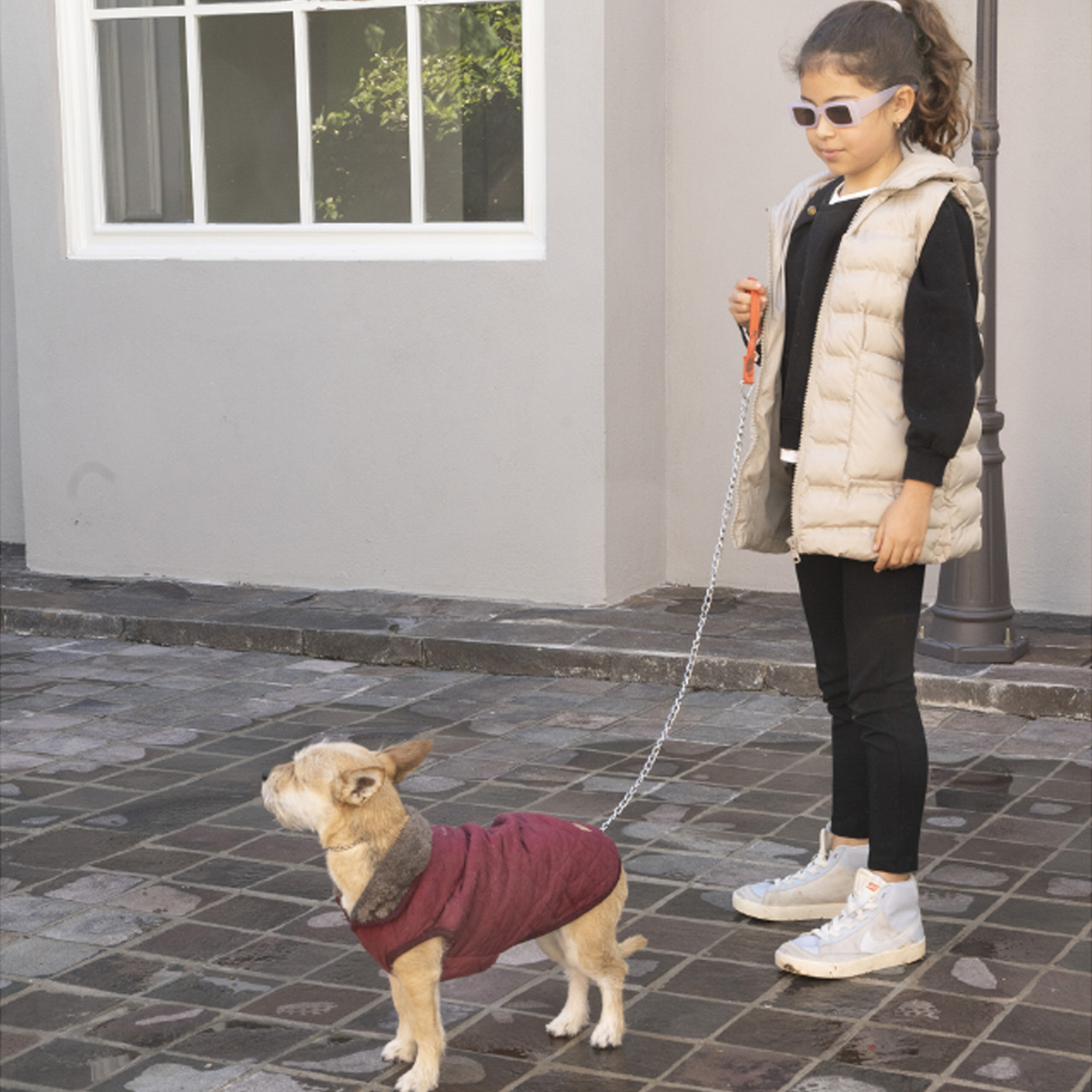 Cadena para perro 1.20 metros