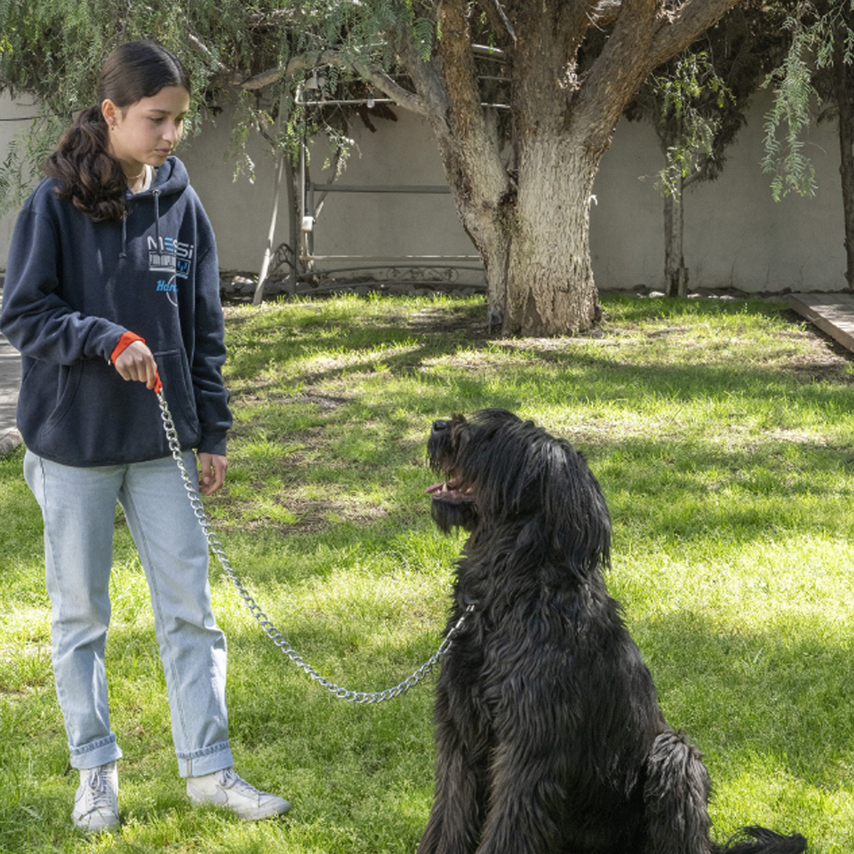 Cadena para perro 1.20 metros