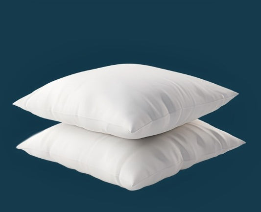 SET 2 PZAS RELLENO COJINES 50X30CM
