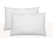 SET 2 PZAS RELLENO COJINES 45x45CM