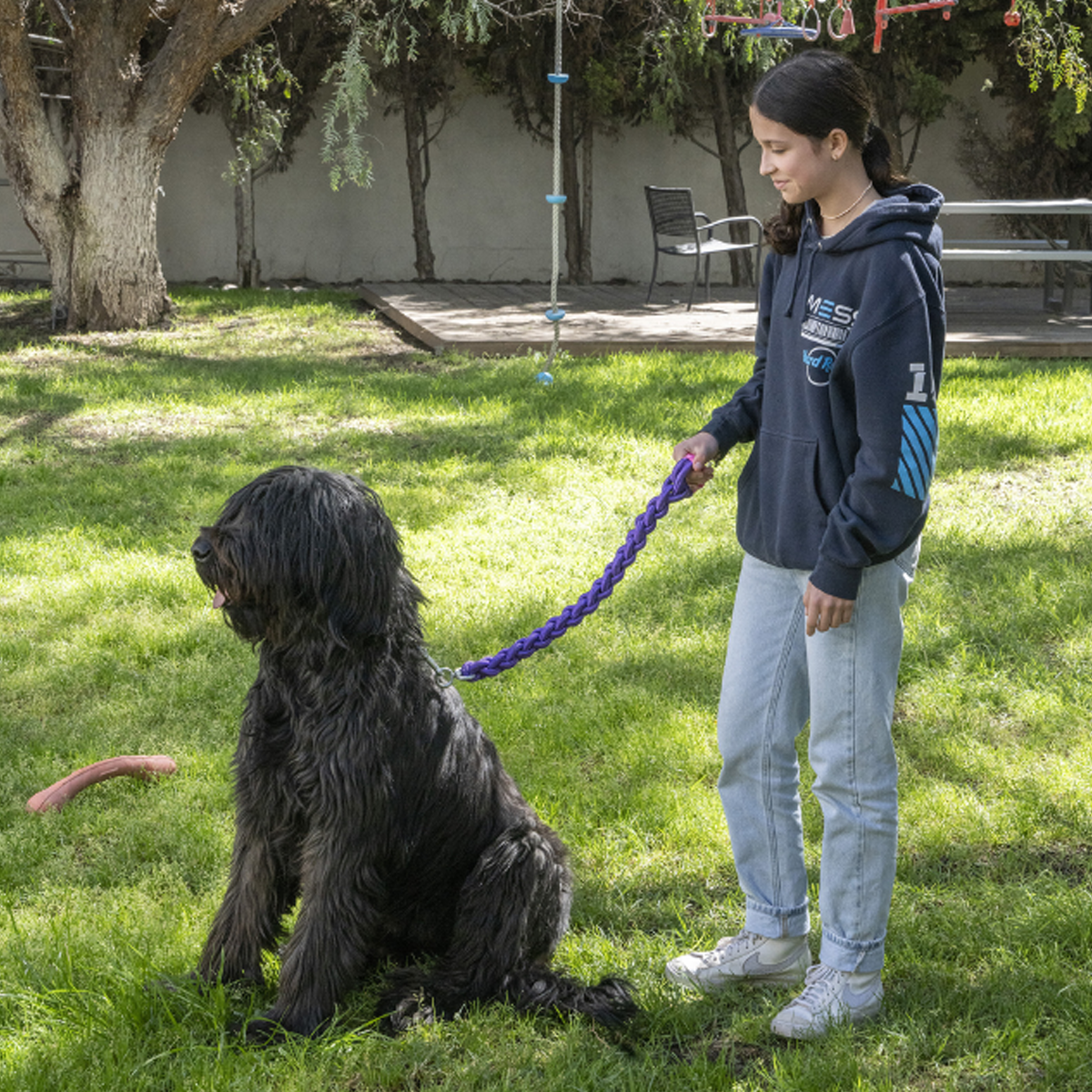 Correa de piel para perros