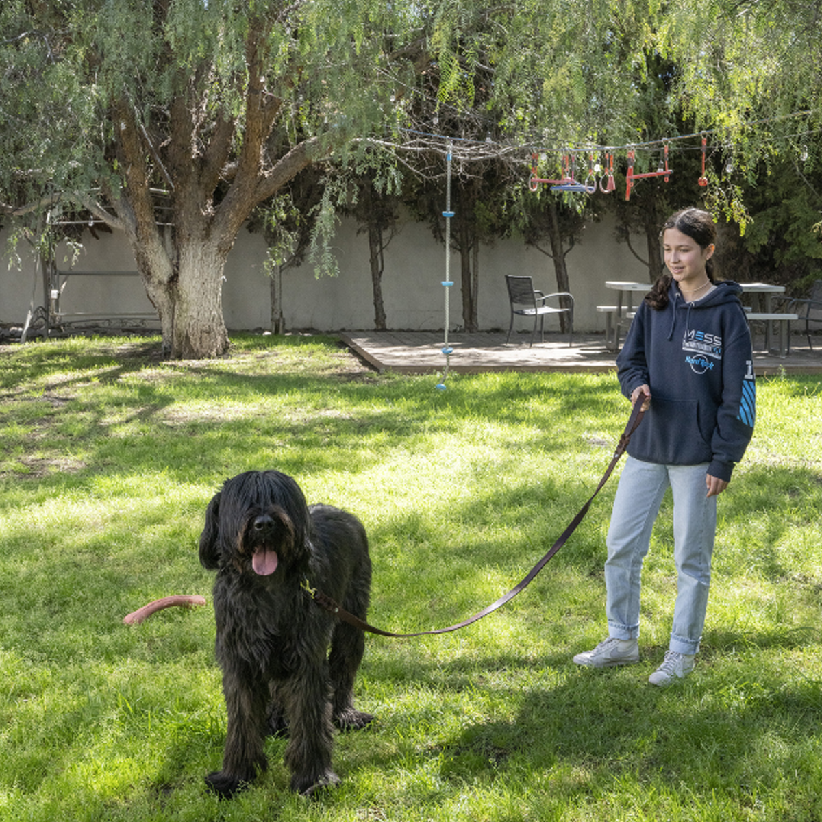 Correa de piel para perros