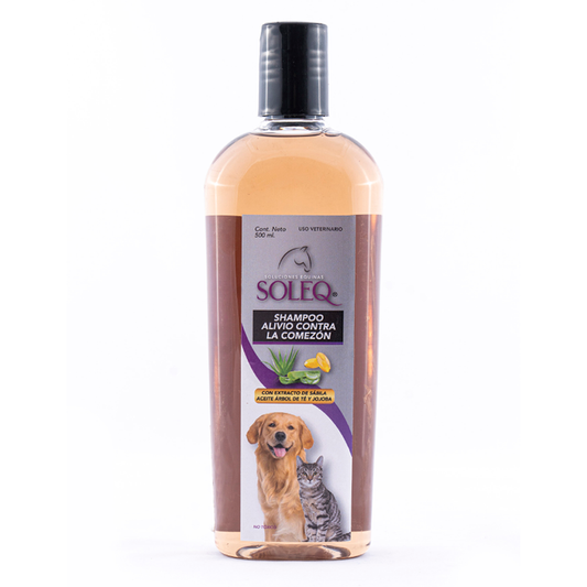 Shampoo para perro